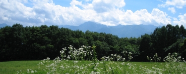 粥川愛・友人リンク