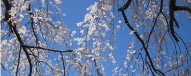 粥川愛・友人リンク